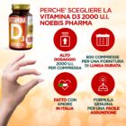 D SCHEDA 2 2 1
