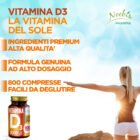 LA SCHEDA3 copia