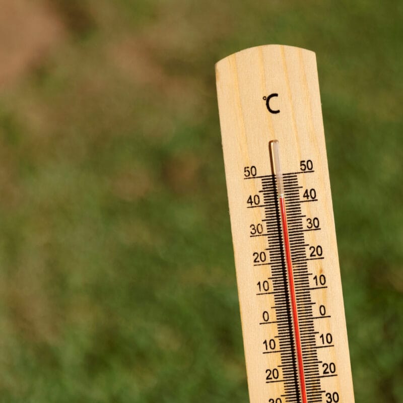 Multivitaminico Multiminerale