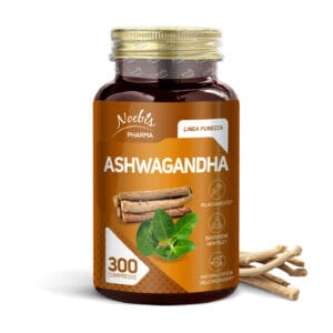 Ashwagandha Estratto Radice - Supporto Contro Stress e Stanchezza Mentale - Alta Qualità 550mg