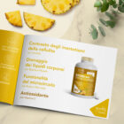 7 img gallery 3425x3425 bromelina