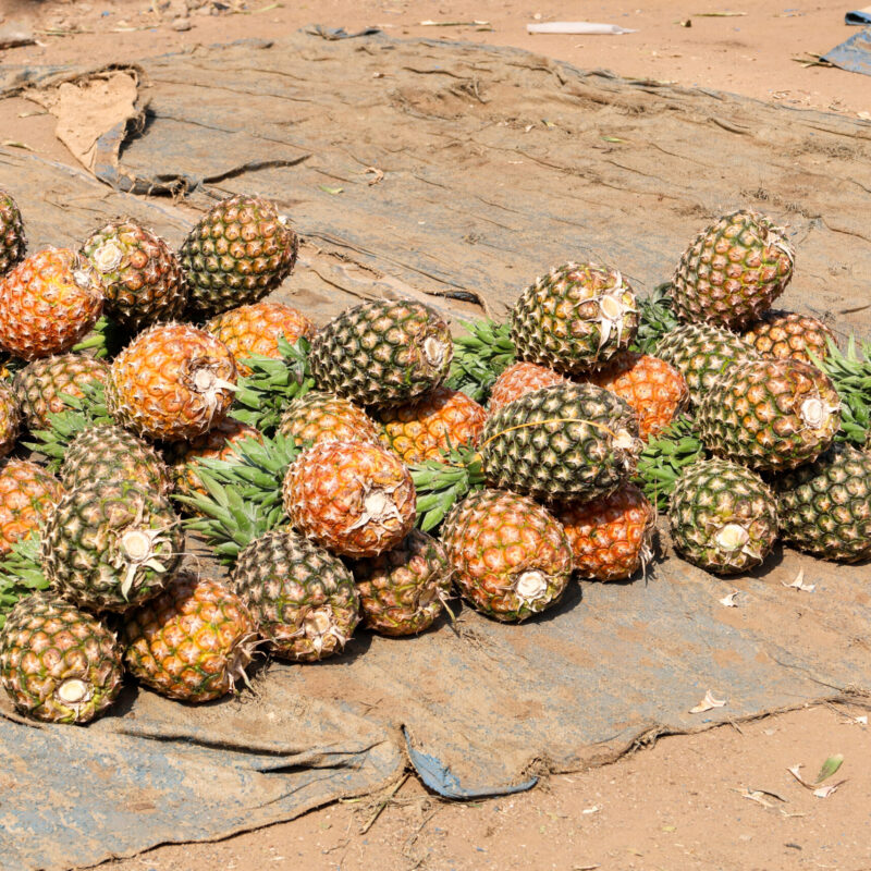 Ananas freschi in vendita al mercato