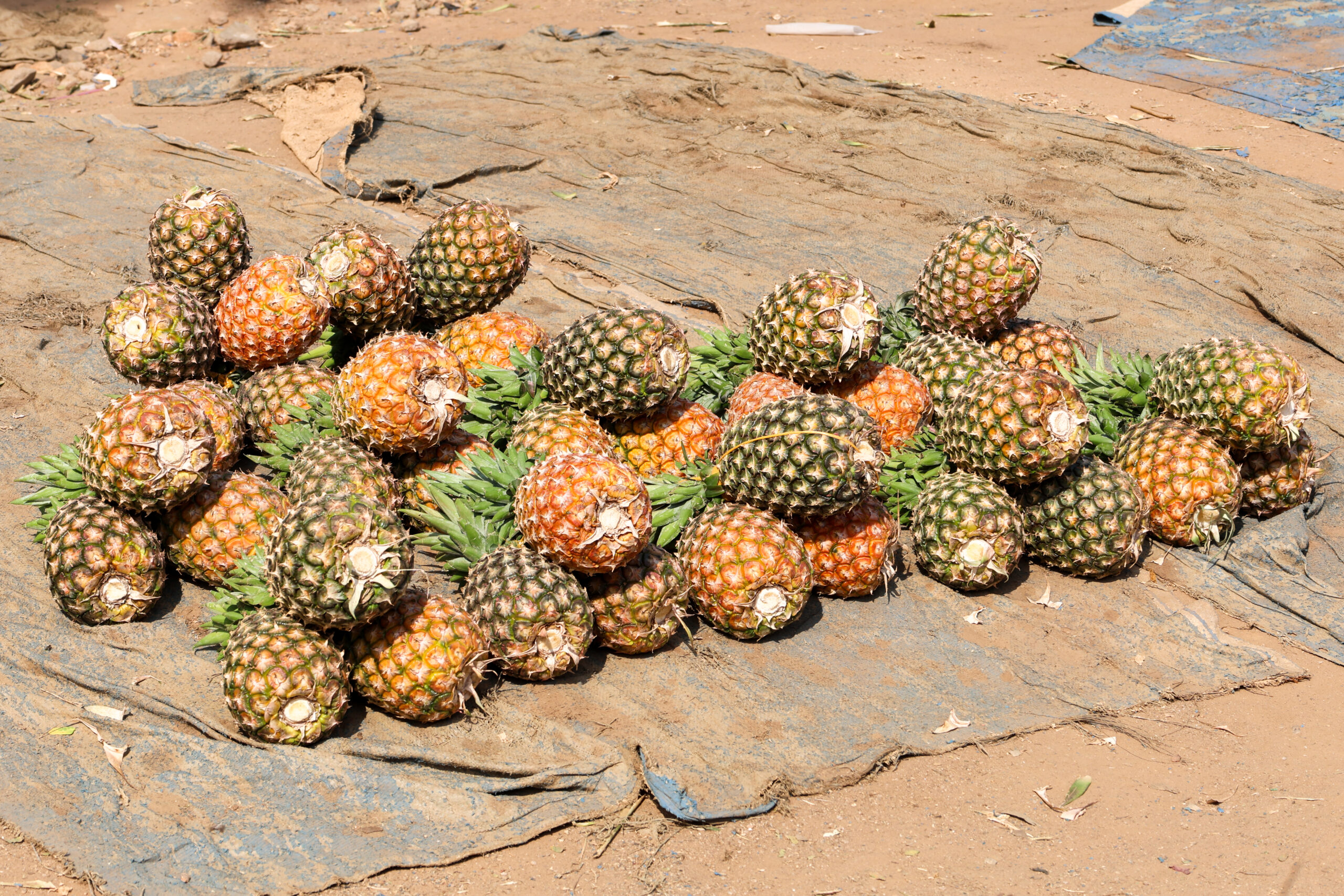 Ananas freschi in vendita al mercato