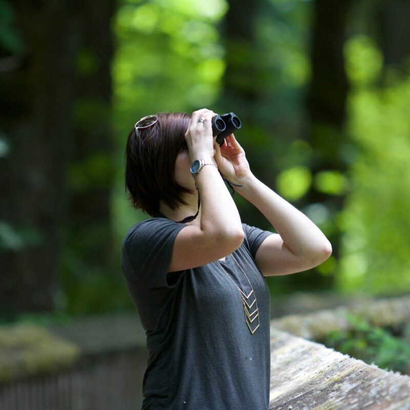 Donna con binocolo osserva tra gli alberi durante un'uscita di birdwatching