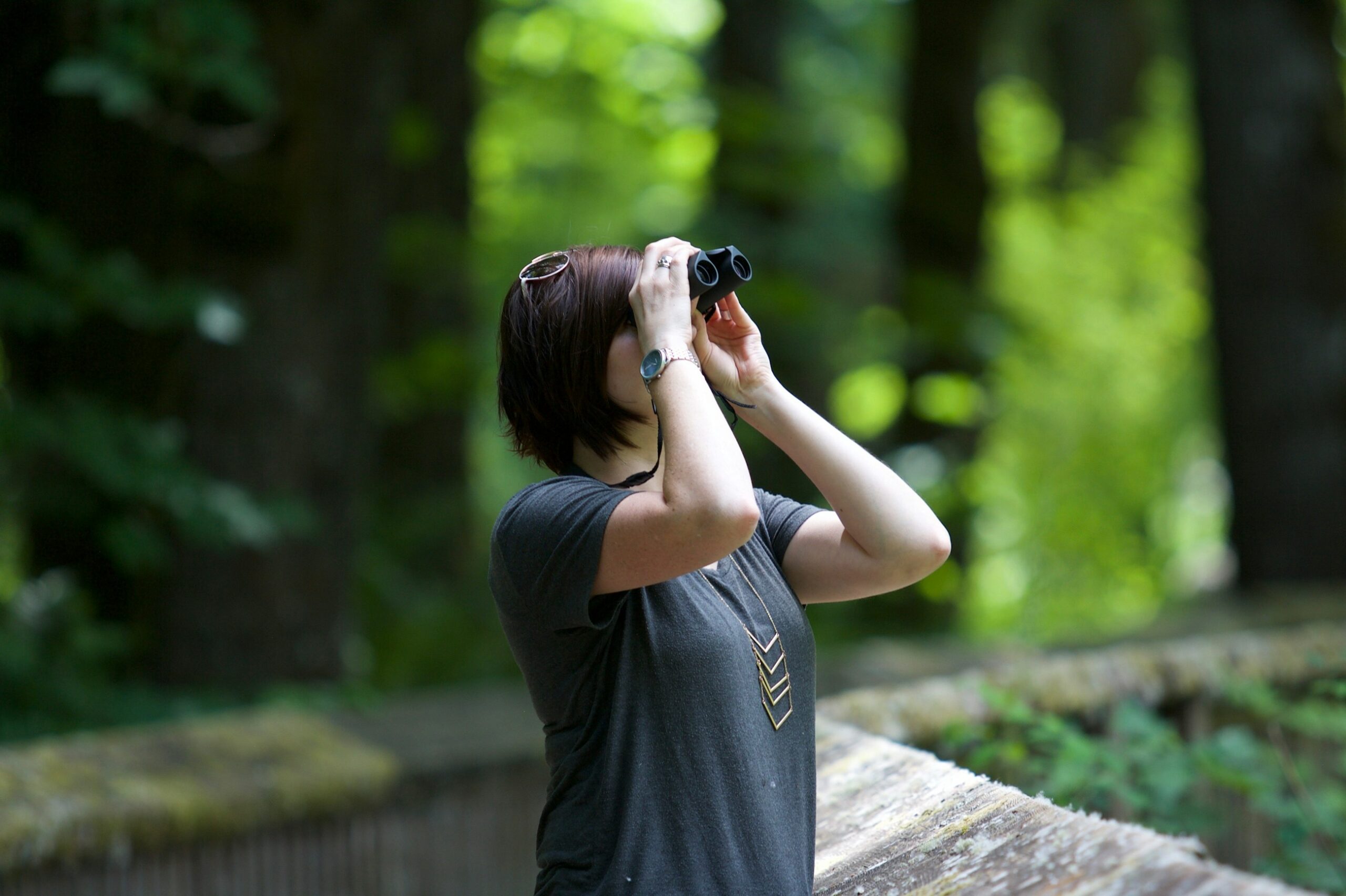 Donna con binocolo osserva tra gli alberi durante un'uscita di birdwatching
