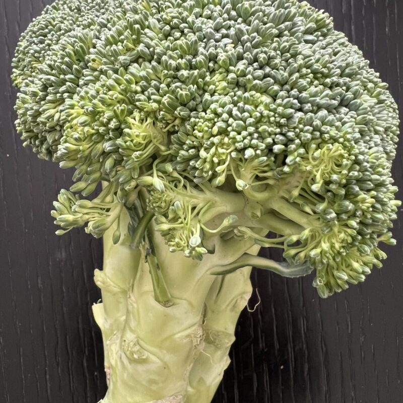 Broccoli freschi, fonte alimentare di cromo