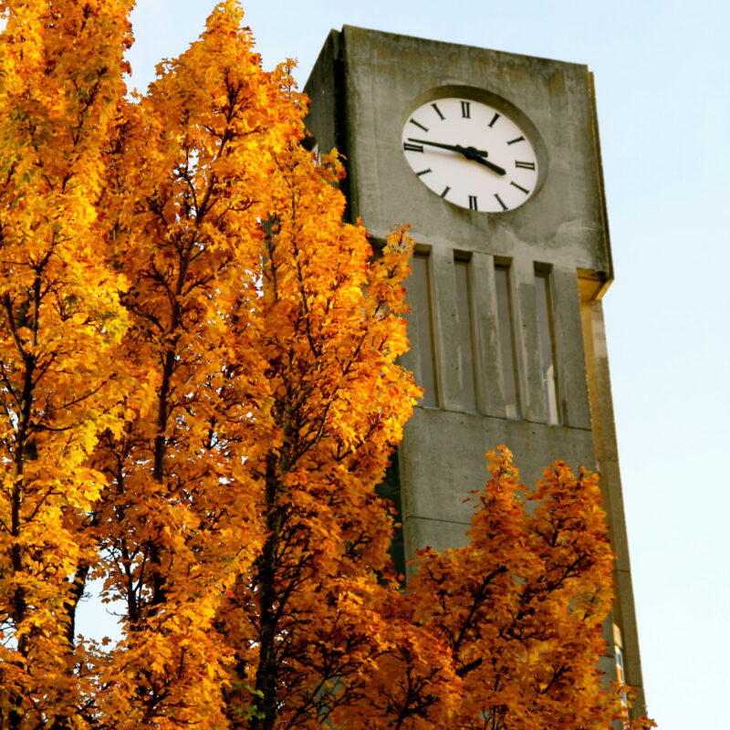 Torre dell'orologio in autunno, simbolo del cambio dell'ora solare
