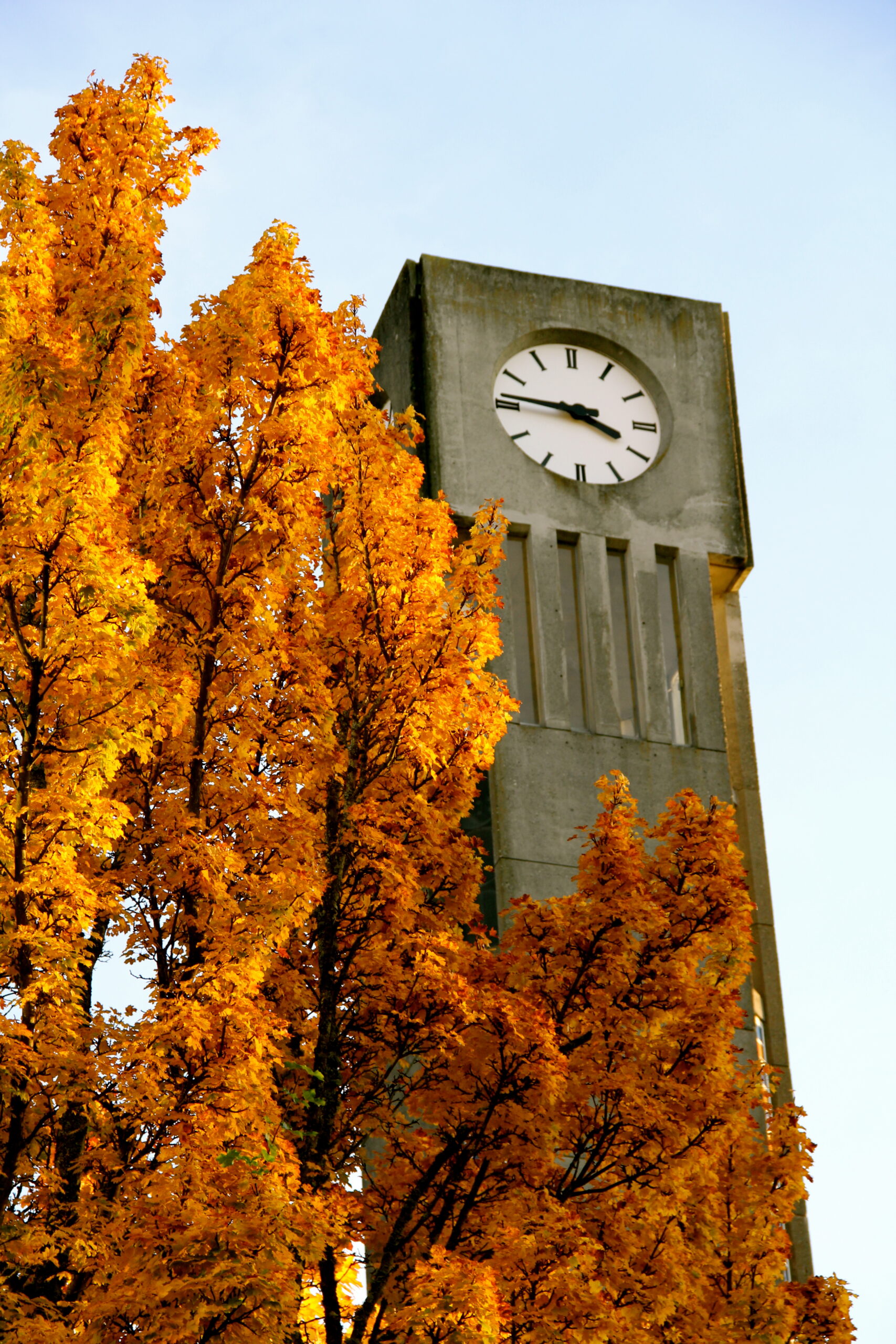 Torre dell'orologio in autunno, simbolo del cambio dell'ora solare