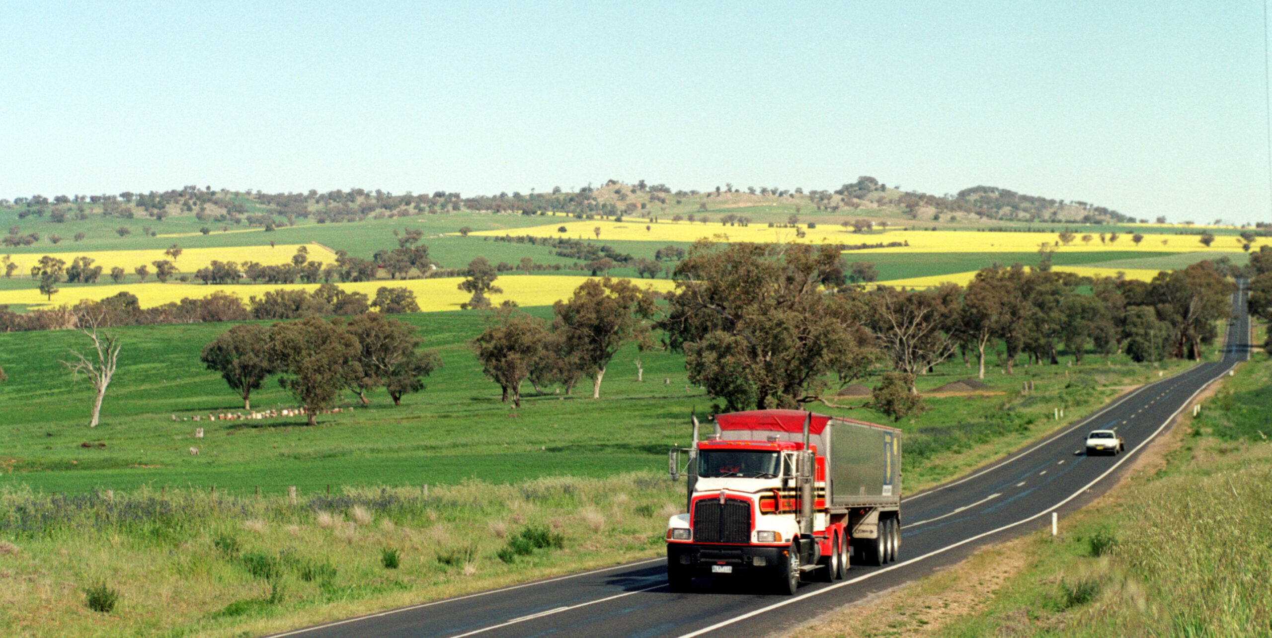 Camion in viaggio su una strada di campagna tra i campi