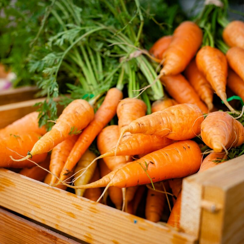 Carote fresche in cassetta di legno, fonte alimentare di beta-carotene e vitamina A