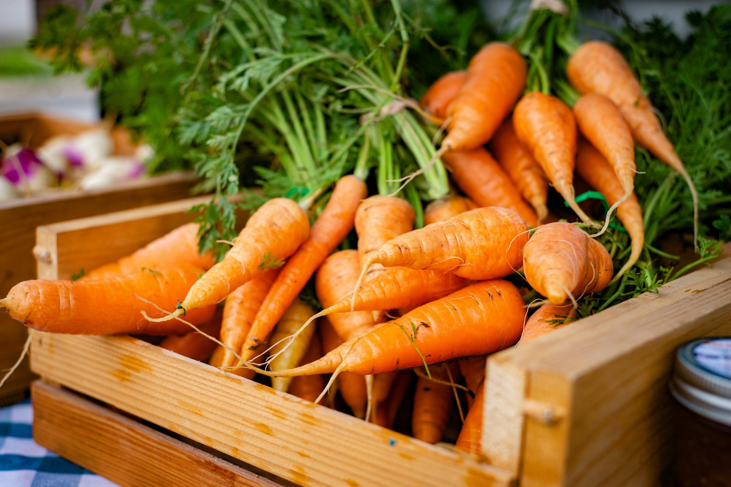 Carote fresche in cassetta di legno, fonte alimentare di beta-carotene e vitamina A