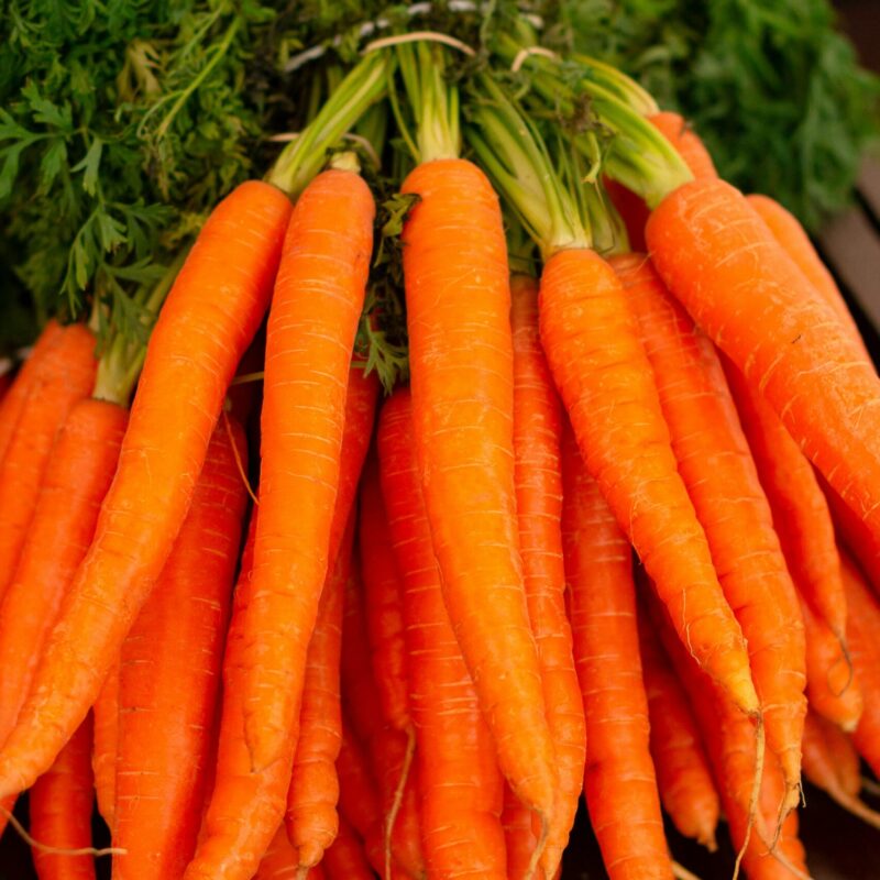 Carote fresche, alimento fonte di beta-carotene