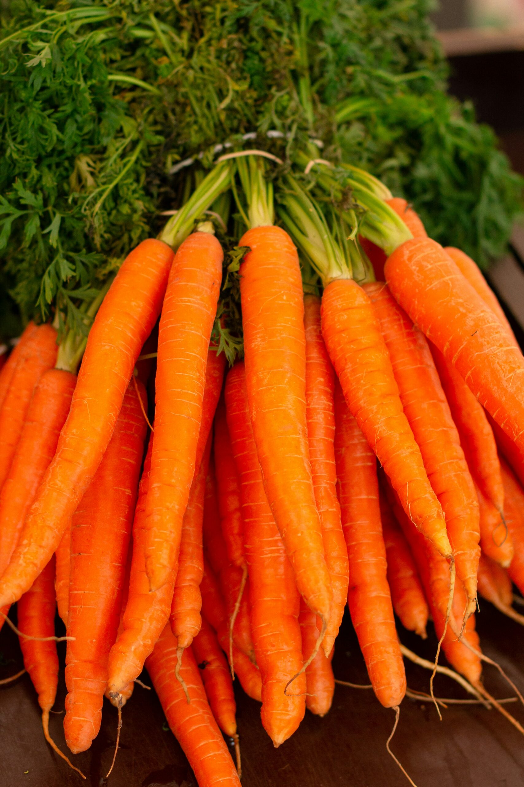 Carote fresche, alimento fonte di beta-carotene