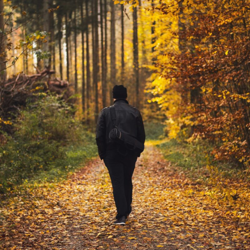 Persona che cammina lungo un sentiero nel bosco durante la raccolta delle castagne in autunno