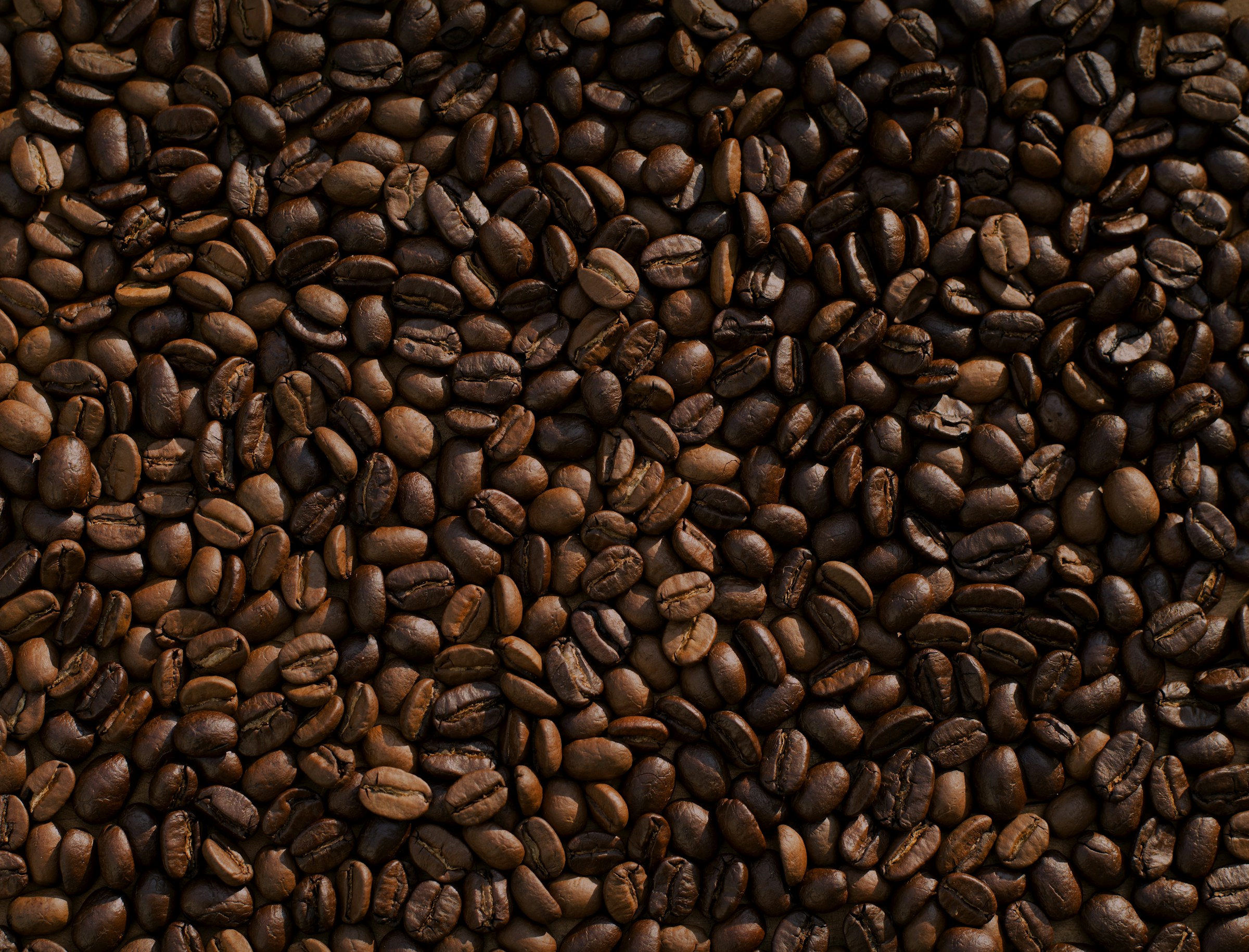 Chicchi di caffè tostati, fonte di caffeina che può influenzare l'eliminazione urinaria di magnesio