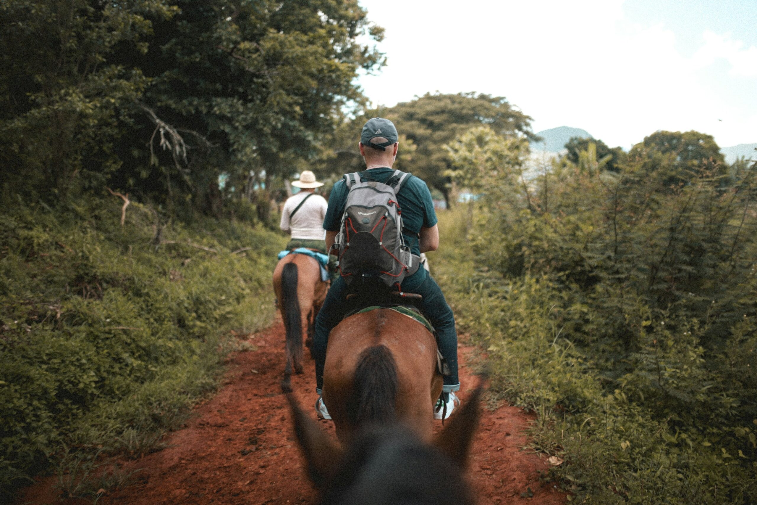 Uomo che pratica equitazione a cavallo durante il giorno