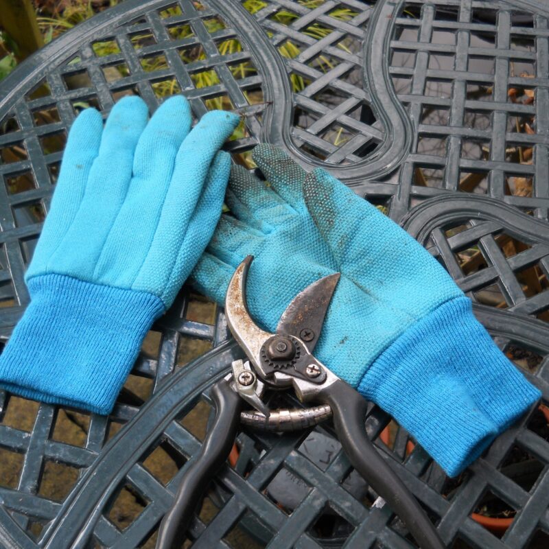 Guanti da giardinaggio e forbici da potatura appoggiati su un tavolo da esterno