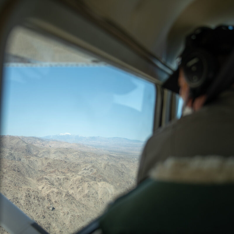 Guardaparco a bordo di un piccolo aereo durante un volo di pattugliamento su un'area naturale protetta