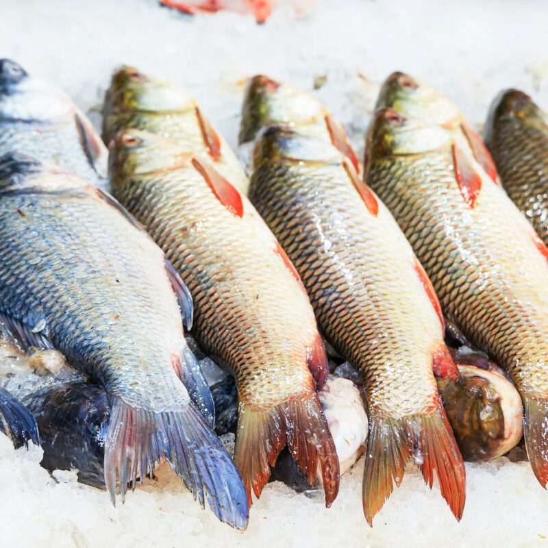 Pesce fresco, fonte alimentare di iodio