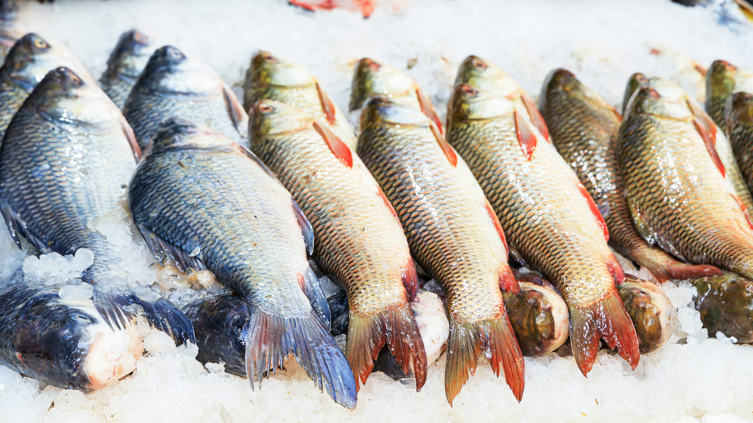 Pesce fresco, fonte alimentare di iodio