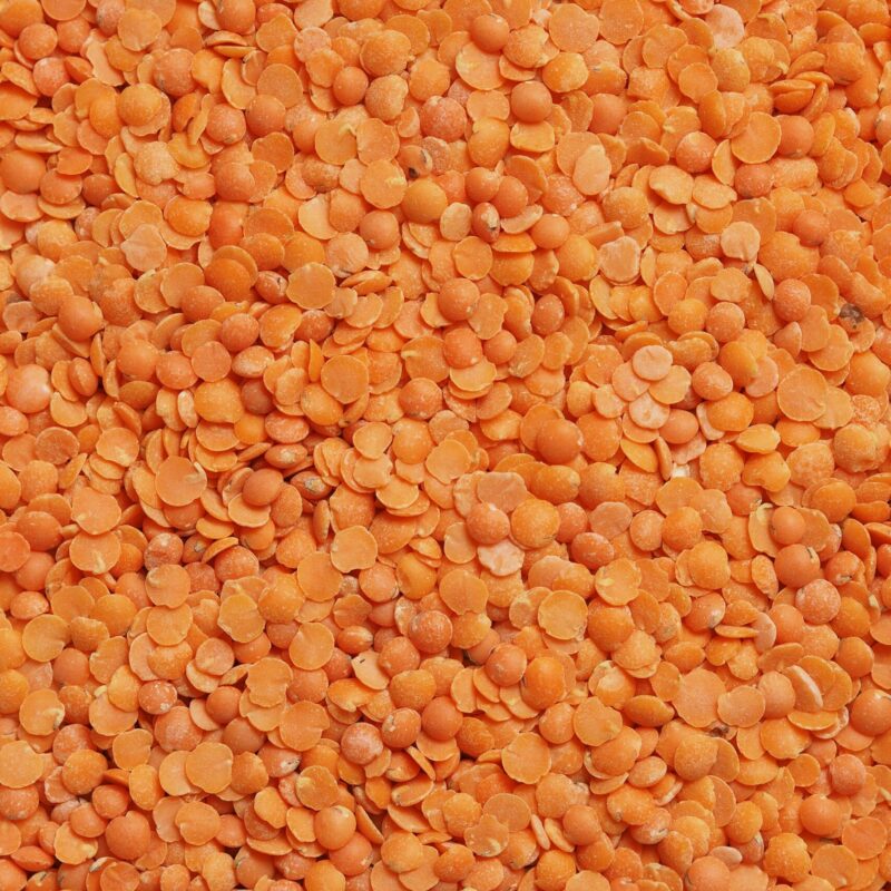 Lenticchie rosse, fonte vegetale di ferro tipica dell'alimentazione vegetariana e vegana