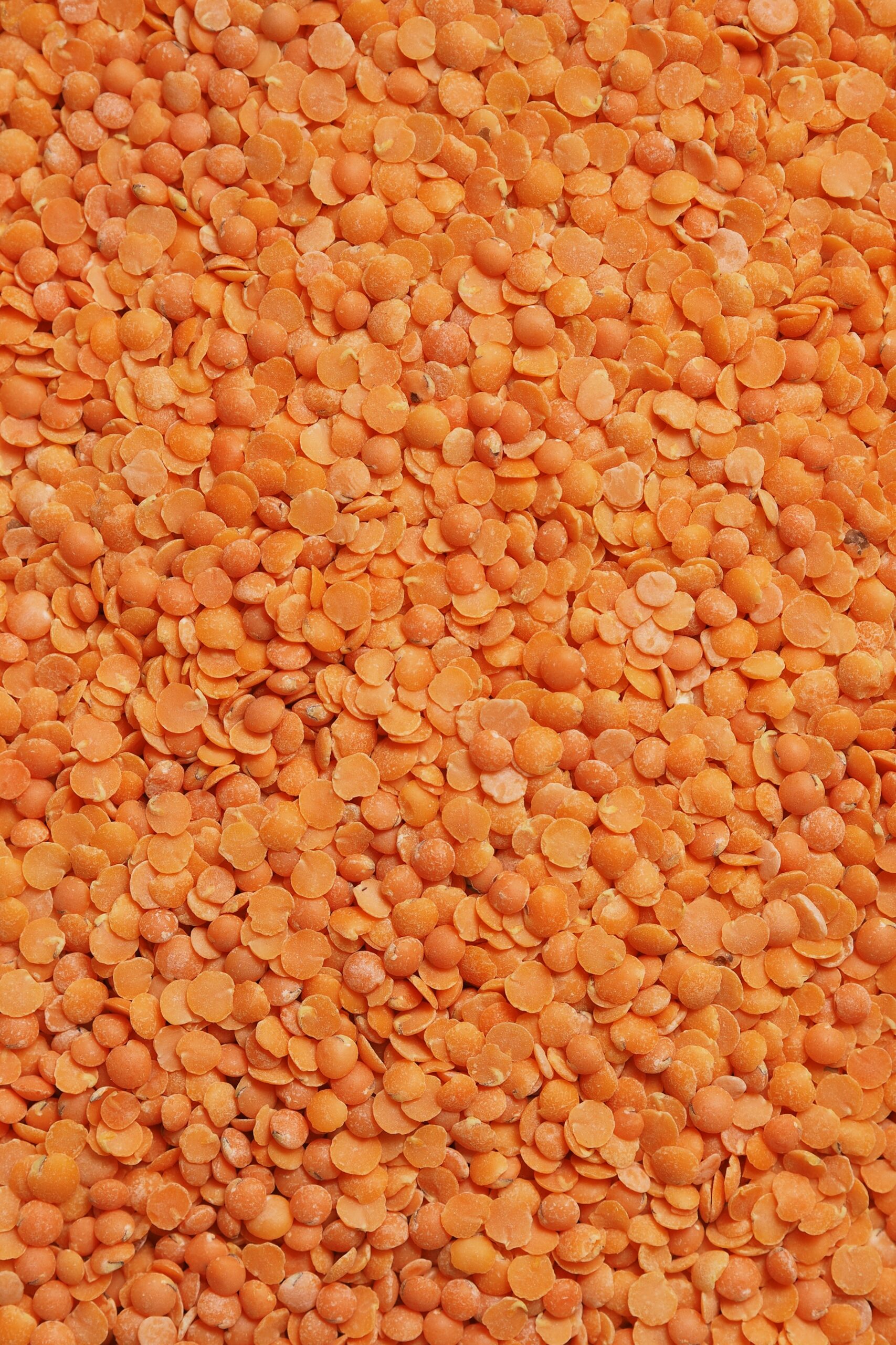Lenticchie rosse, fonte vegetale di ferro tipica dell'alimentazione vegetariana e vegana