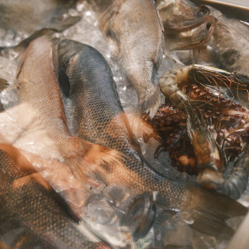 Pesce fresco esposto su ghiaccio al mercato
