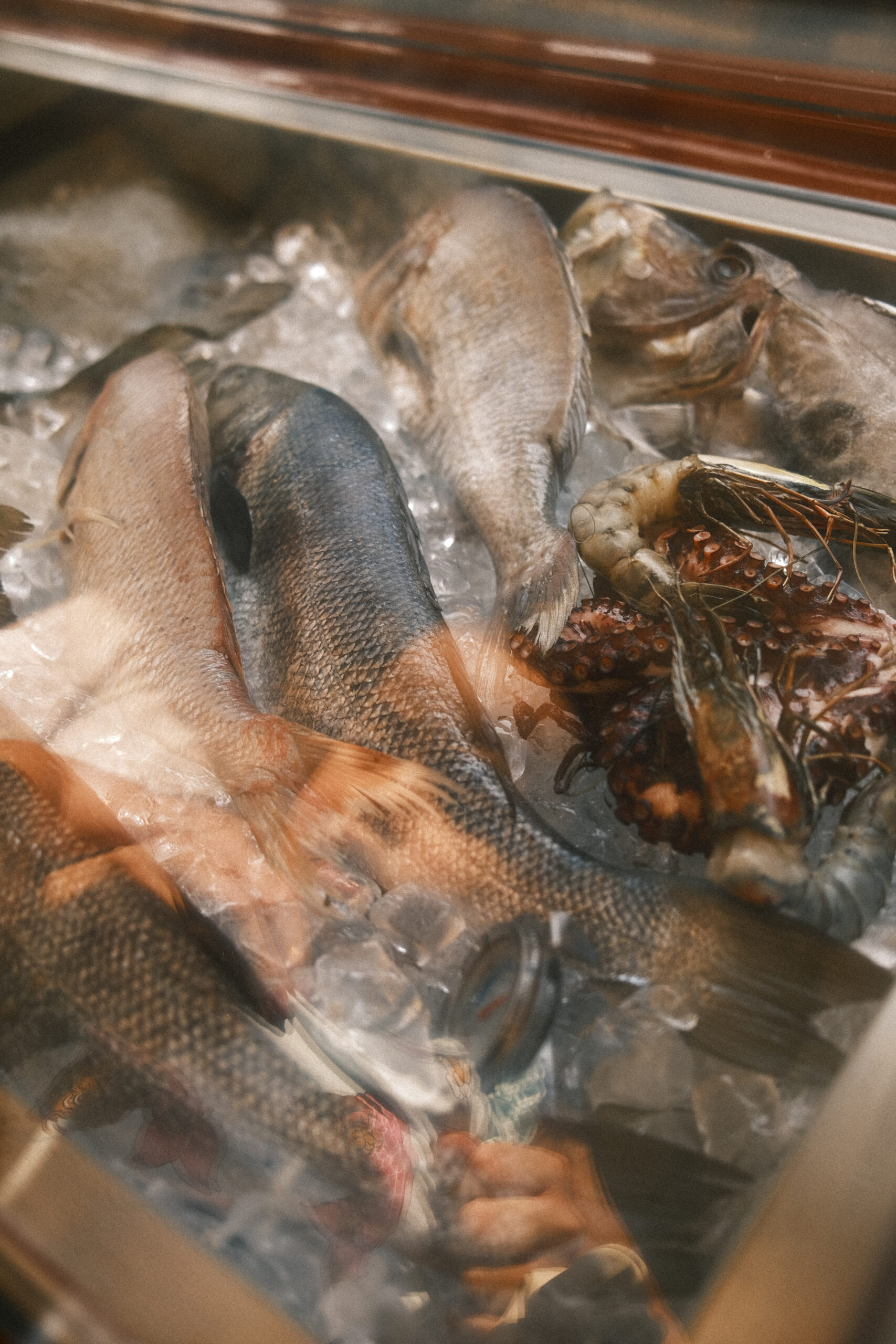 Pesce fresco esposto su ghiaccio al mercato