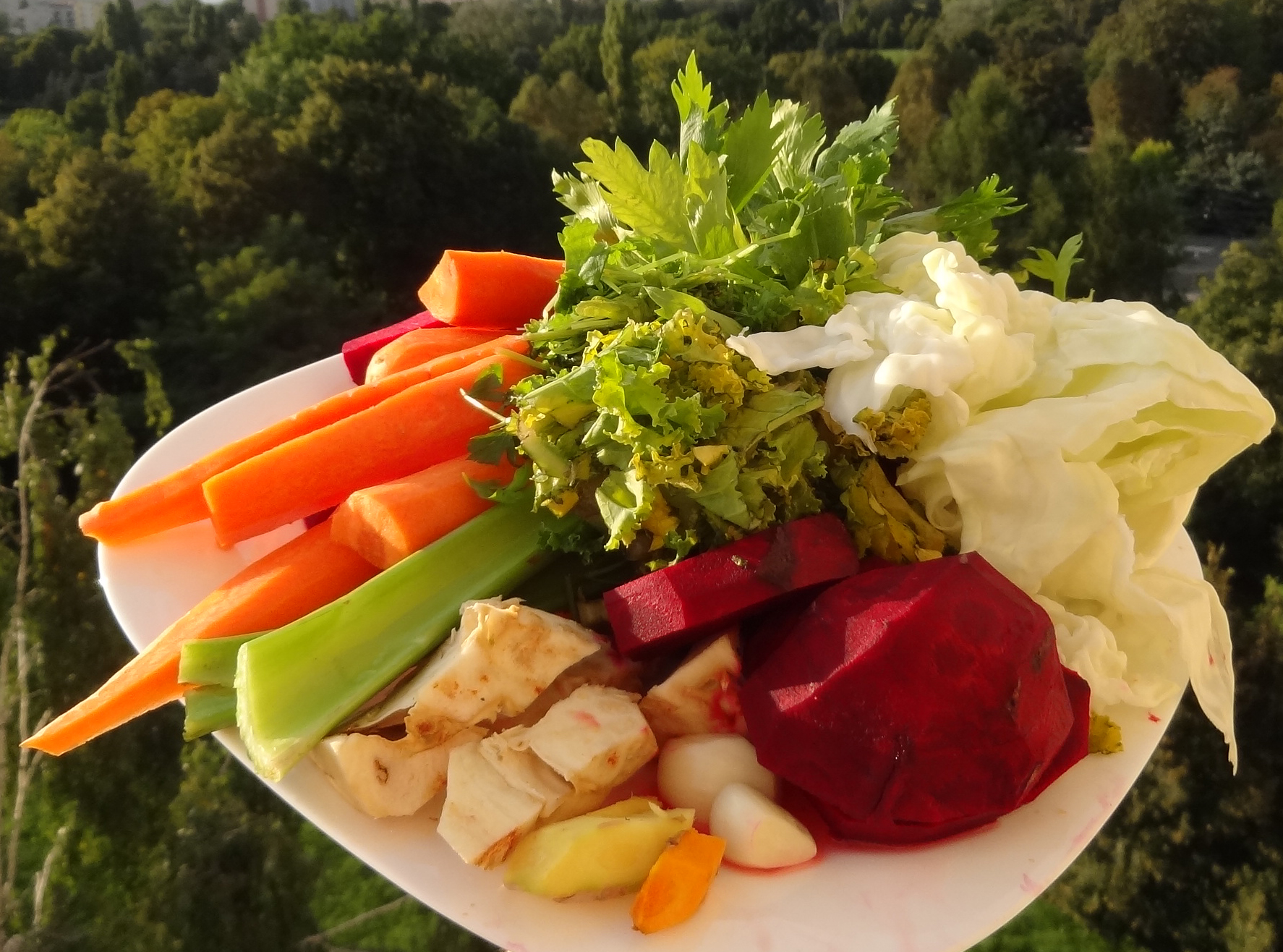Alimentazione varia ed equilibrata