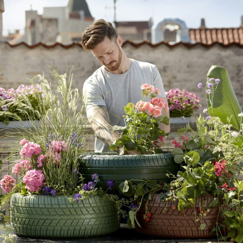 Orticoltura sul balcone - Noebis Pharma