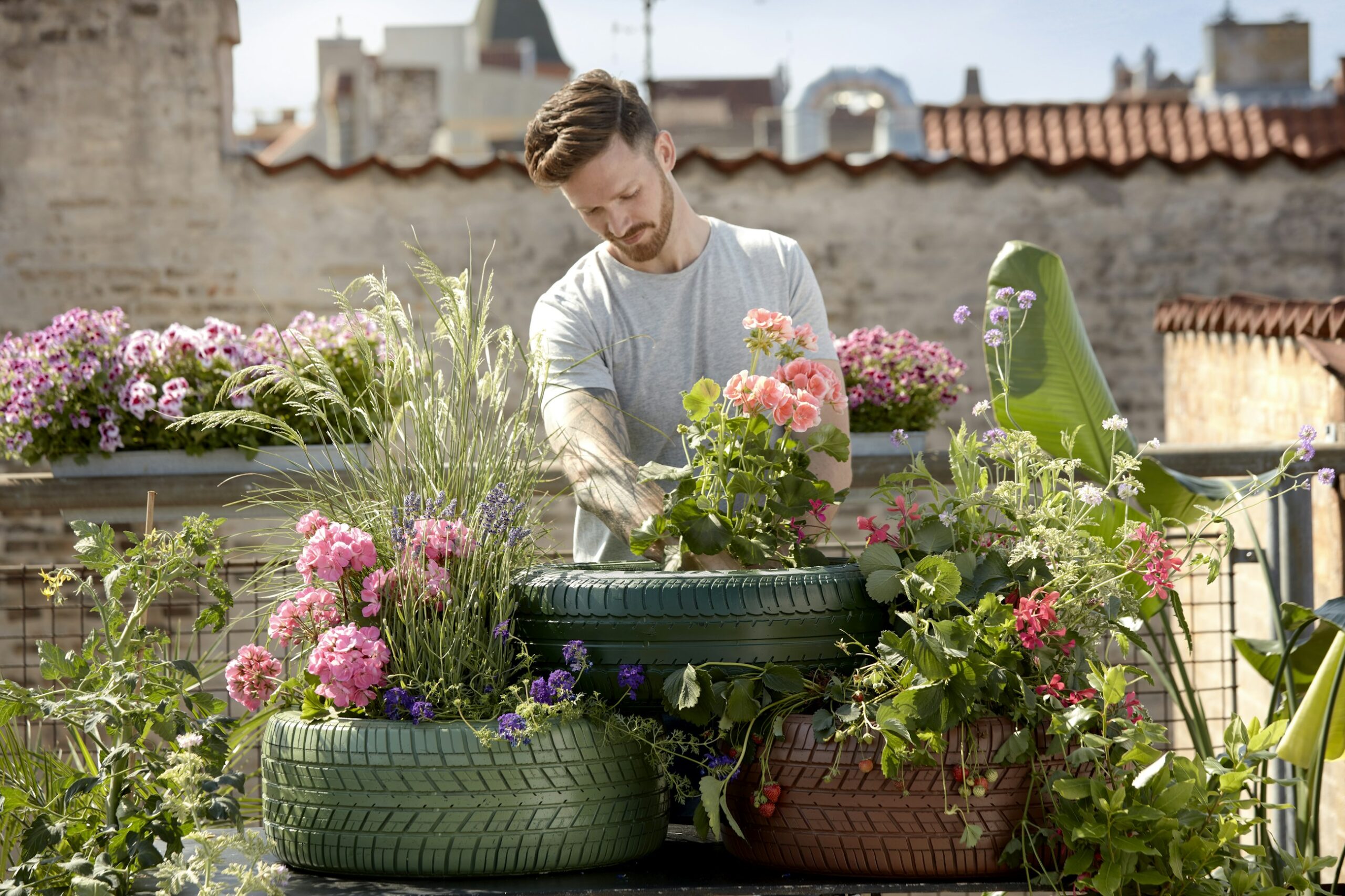 Orticoltura sul balcone - Noebis Pharma