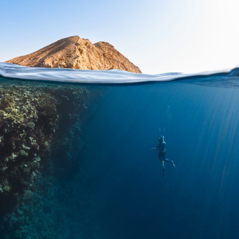 Pesca subacquea in apnea - Noebis Pharma