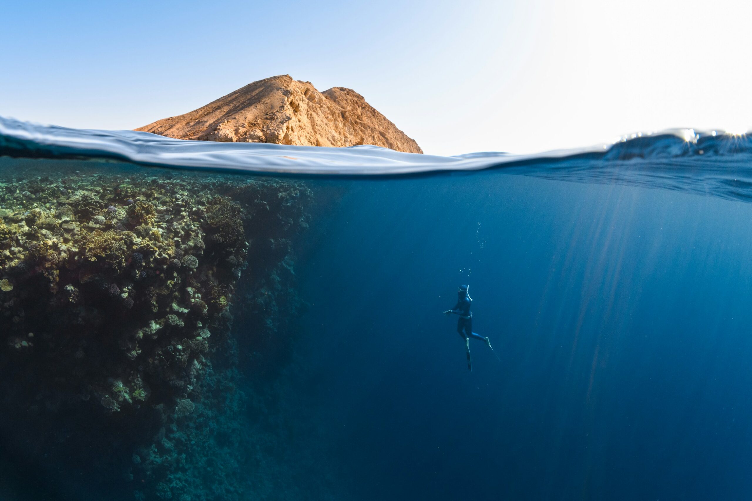 Pesca subacquea in apnea - Noebis Pharma