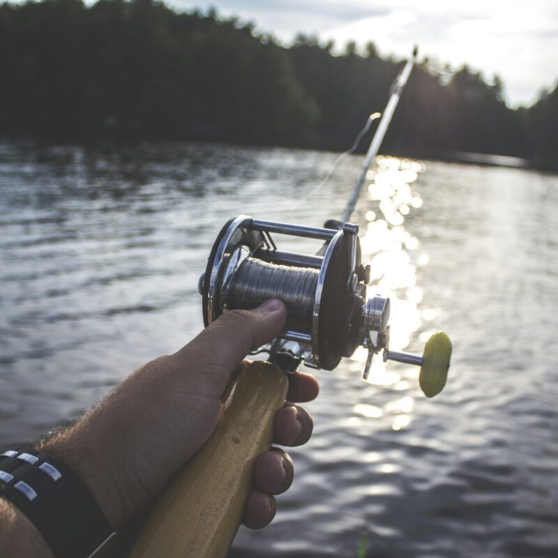 Pesca lago sole vitamina d aria aperta