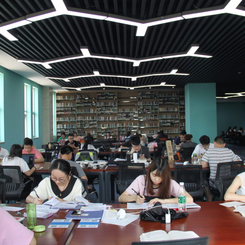 Studenti che studiano in biblioteca