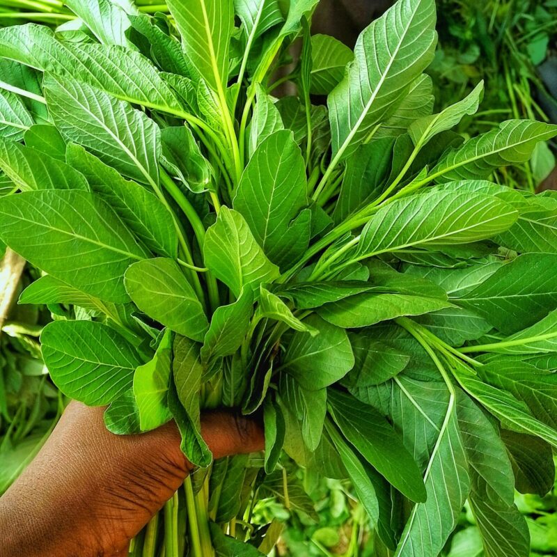 Foglie fresche di spinaci, alimento naturalmente ricco di folati