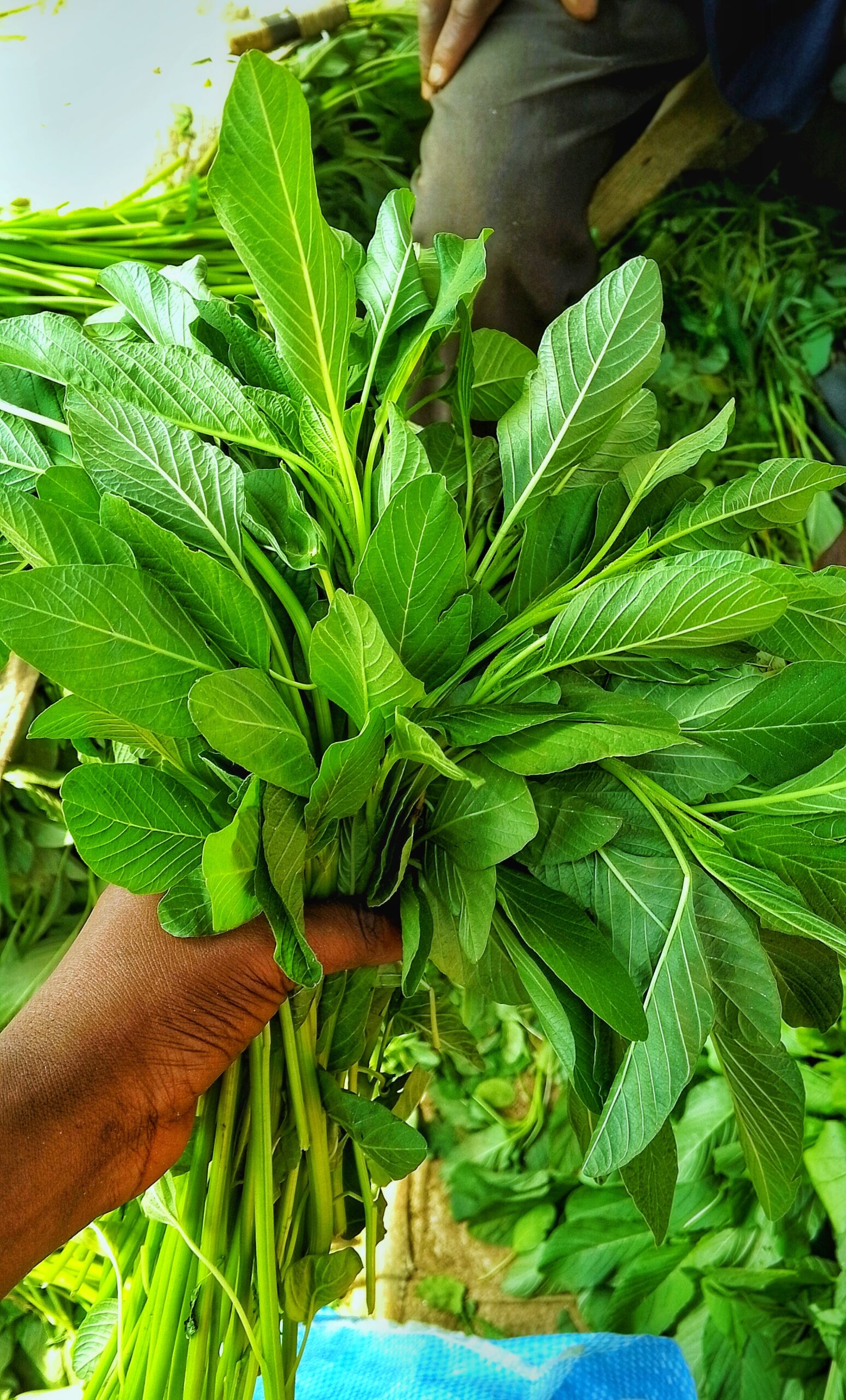 Foglie fresche di spinaci, alimento naturalmente ricco di folati