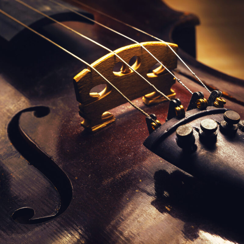 Dettaglio del ponticello e delle corde di un violino