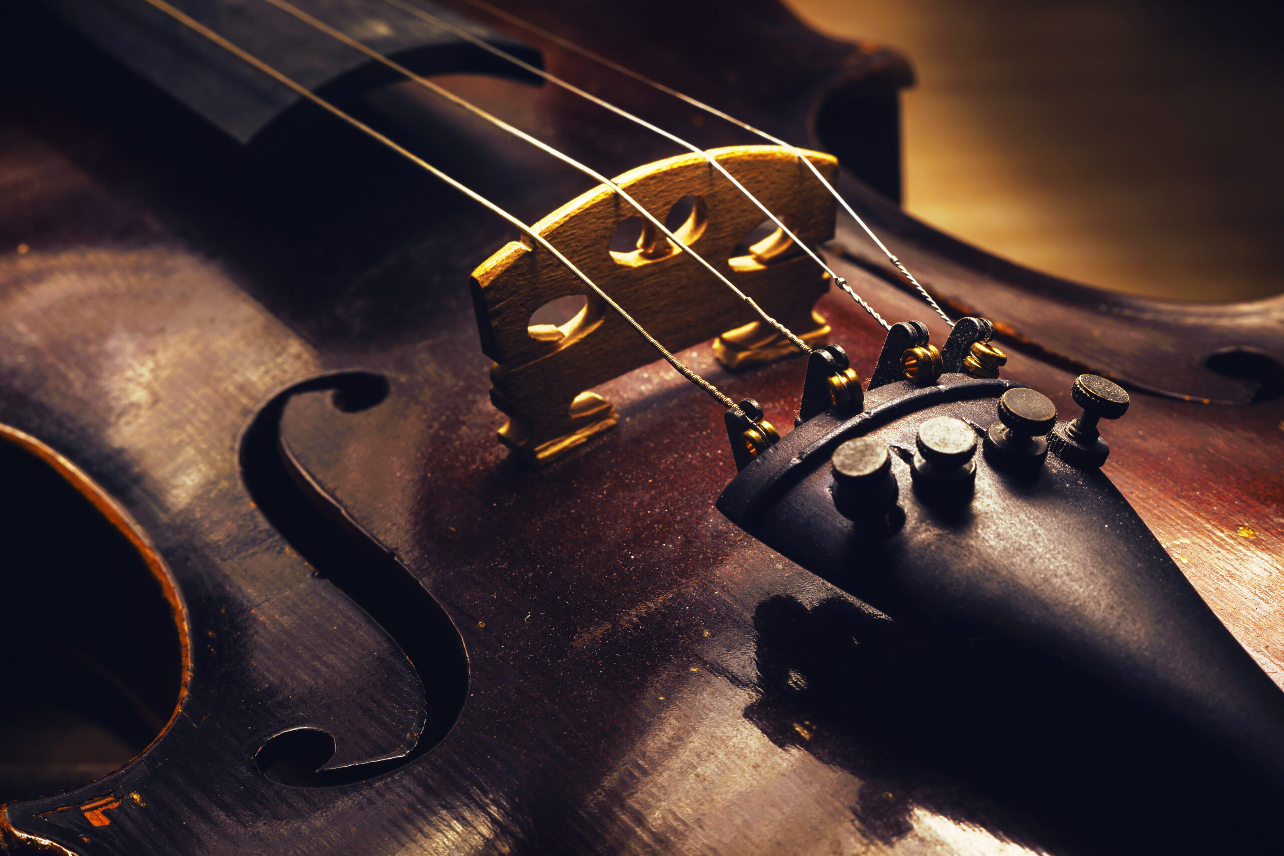 Dettaglio del ponticello e delle corde di un violino
