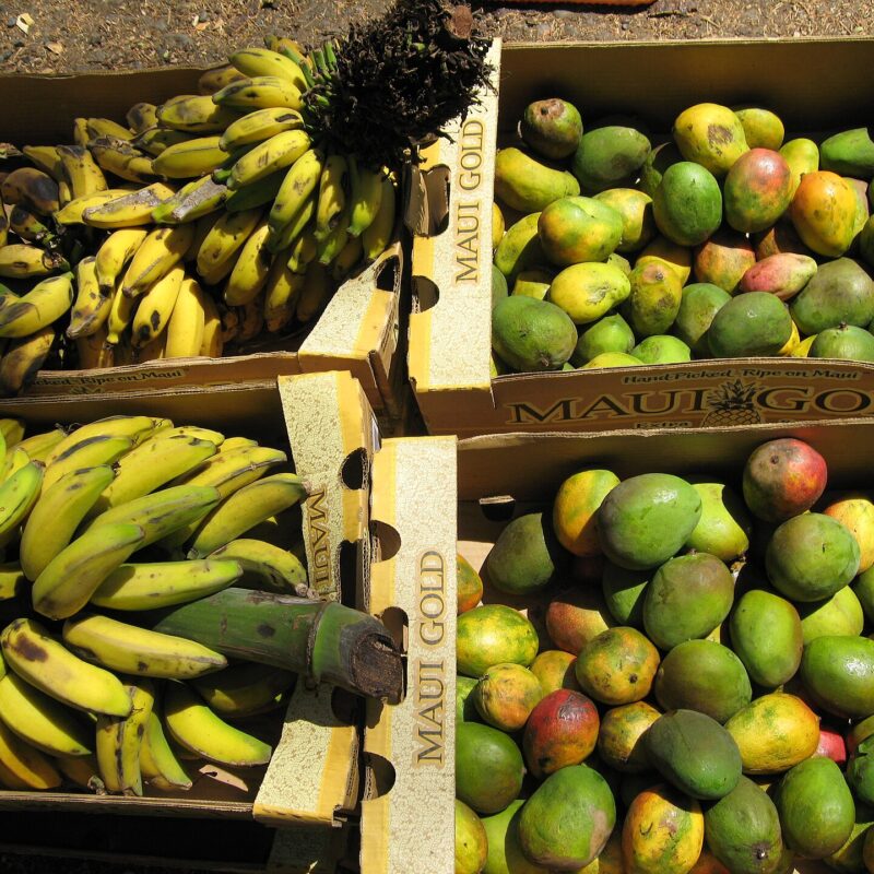 Alimenti fonte di vitamina B6