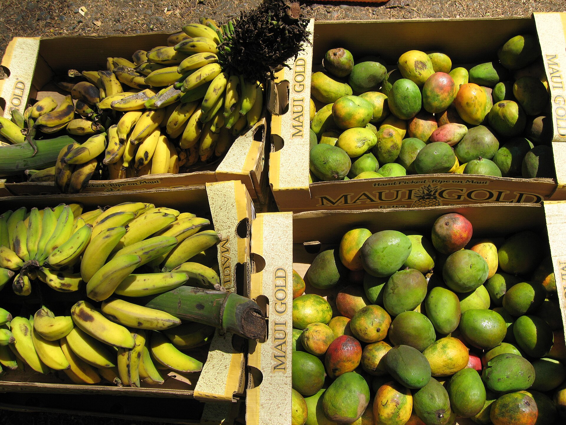Alimenti fonte di vitamina B6
