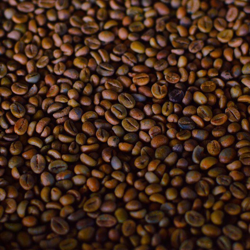 Chicchi di caffè tostati, fonte naturale di acido caffeico e acido clorogenico