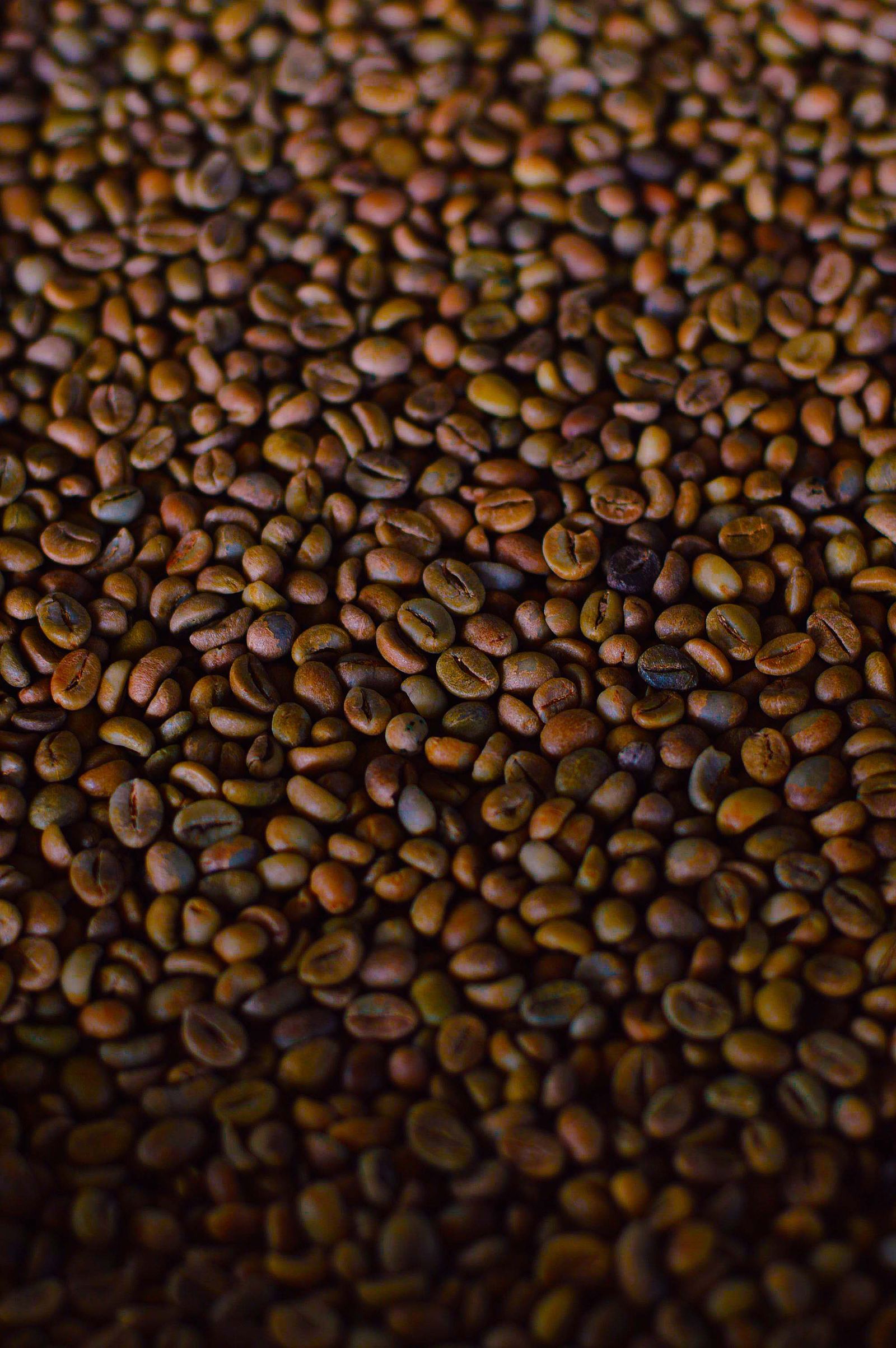 Chicchi di caffè tostati, fonte naturale di acido caffeico e acido clorogenico