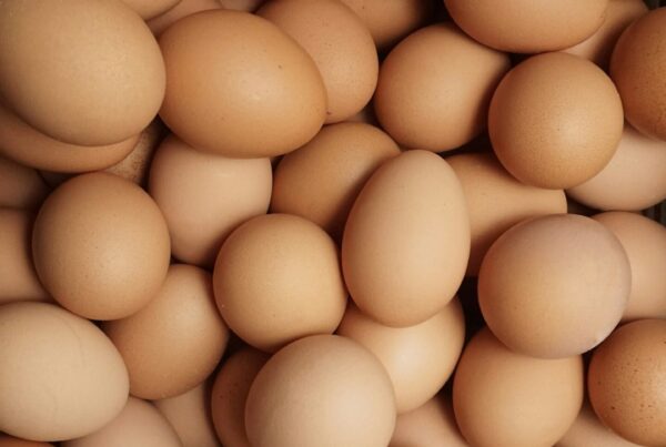 Uova intere disposte una accanto allaltra, fonte alimentare di amminoacidi a catena ramificata (BCAA)