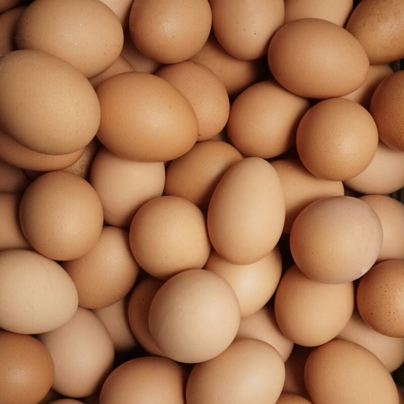 Uova intere disposte una accanto allaltra, fonte alimentare di amminoacidi a catena ramificata (BCAA)