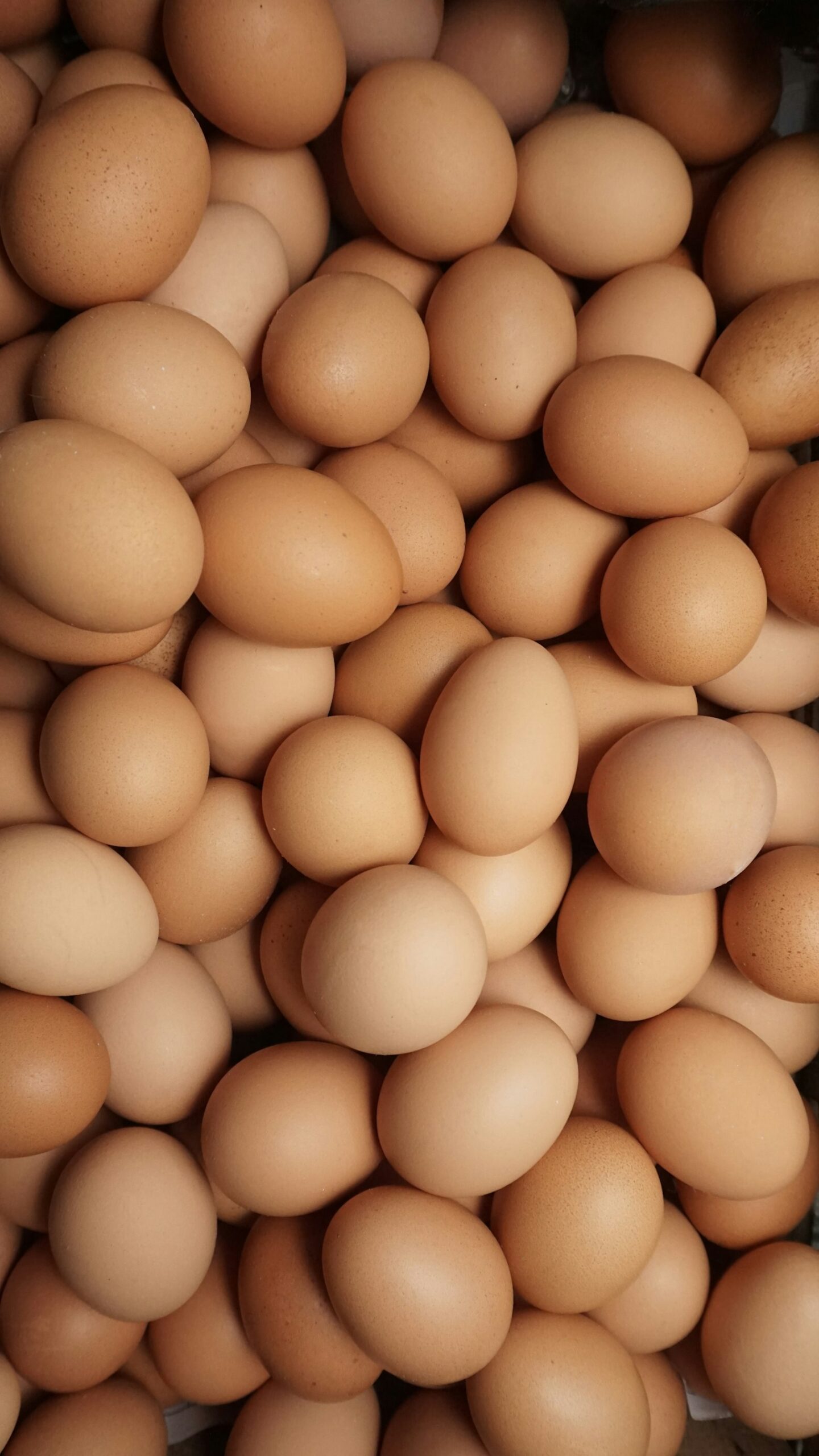 Uova intere disposte una accanto allaltra, fonte alimentare di amminoacidi a catena ramificata (BCAA)