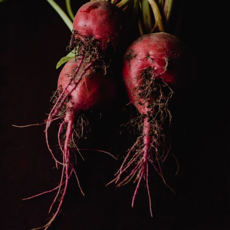 Barbabietole fresche, fonte alimentare di betaina