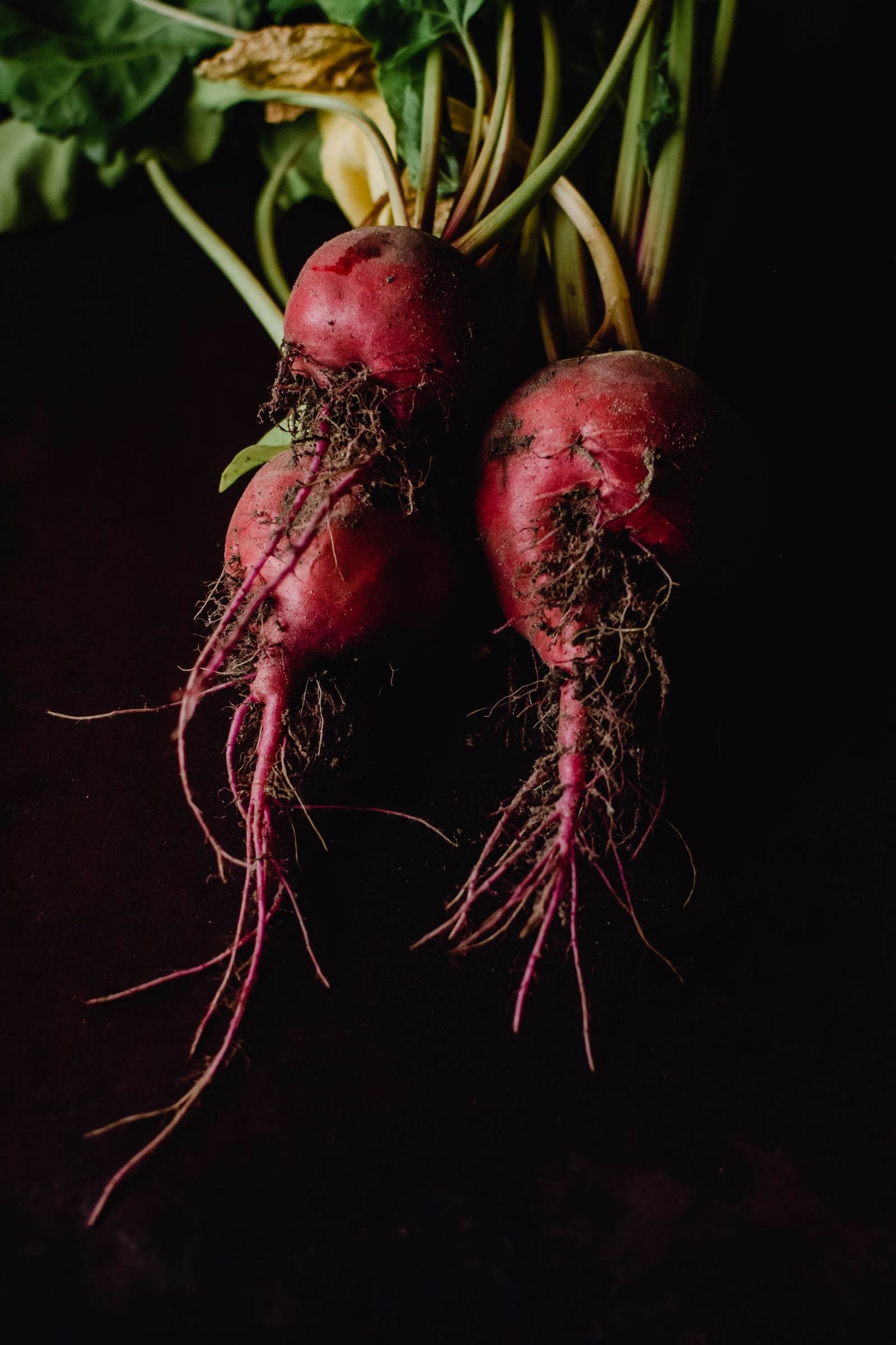 Barbabietole fresche, fonte alimentare di betaina
