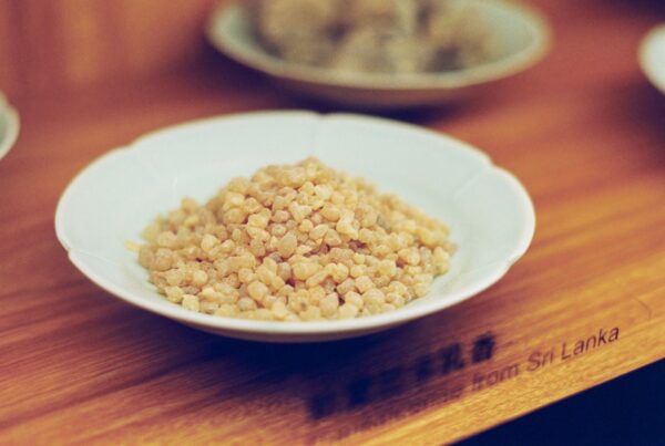 Resina naturale di Boswellia (incenso) raccolta in una ciotola