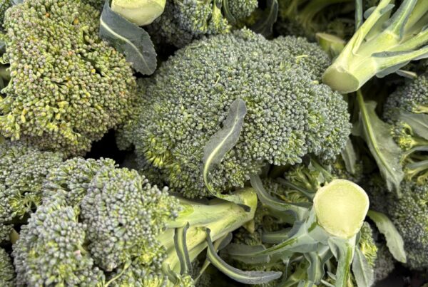 Broccoli freschi tagliati su tagliere, fonte di glucorafanina e sulforafano